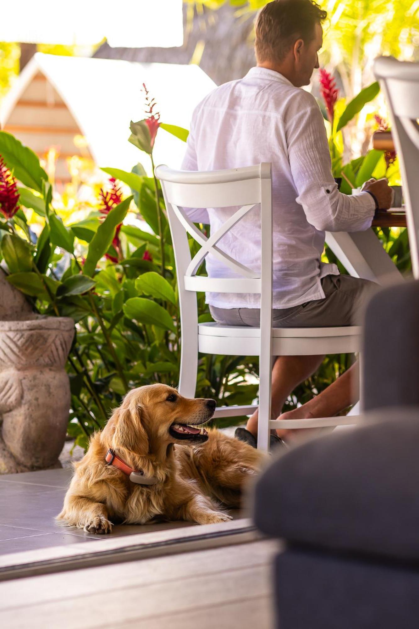 Les Voiles Blanches - Luxury Lodge Tamarindo Luaran gambar