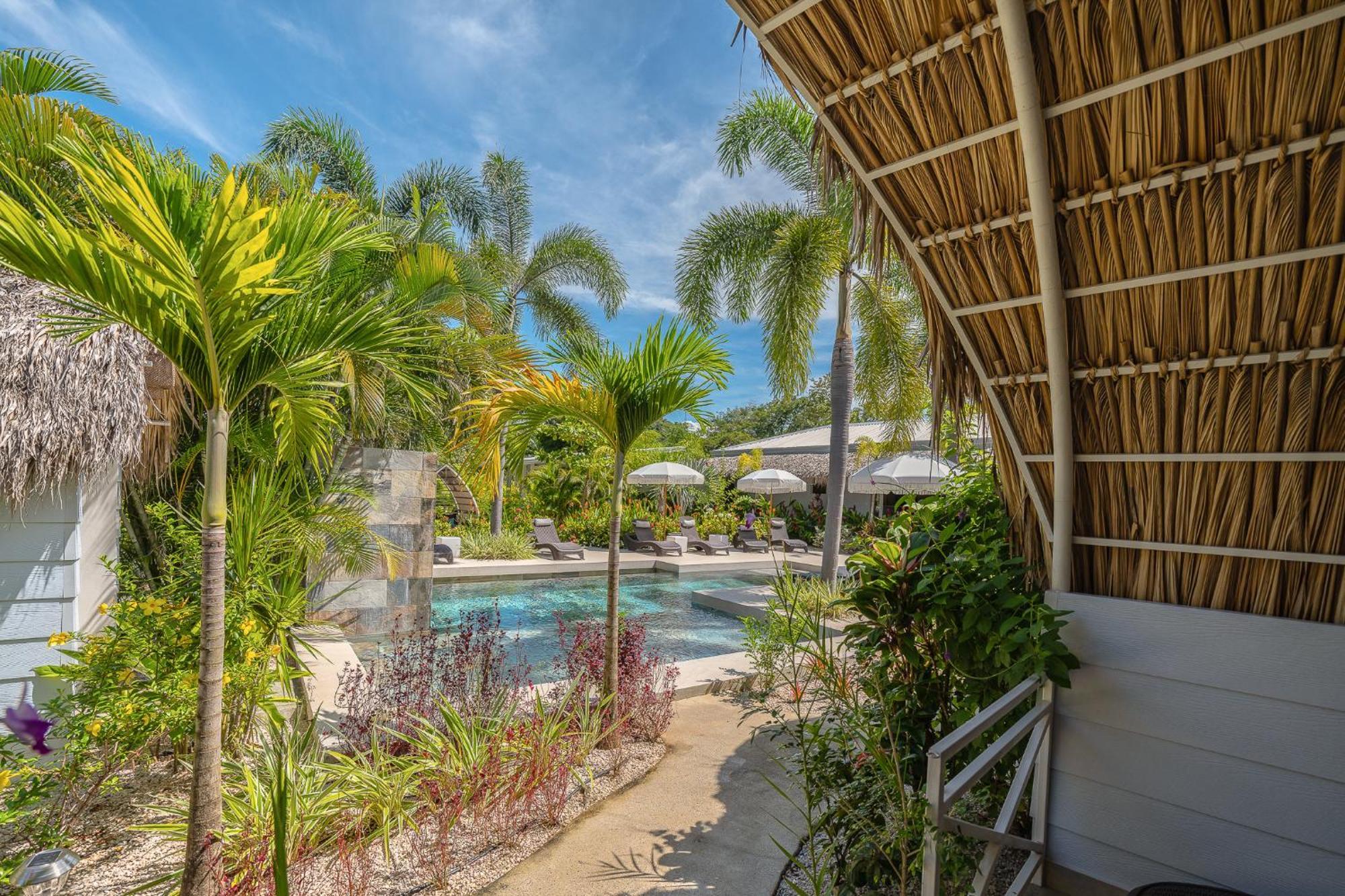 Les Voiles Blanches - Luxury Lodge Tamarindo Bilik gambar